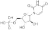 Uracil Arabinonucleoside 5'-Phosphate