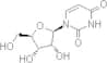 Uridine
