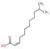 (2Z)-11-Methyl-2-dodecenoic acid