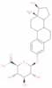 Estradiol 3-glucuronide
