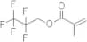 2,2,3,3,3-Pentafluoropropyl methacrylate