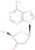2',5'-dideoxyadenosine