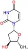 2',5'-dideoxyuridine