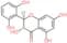 2′,3,5,6′,7-Pentahydroxyflavanone