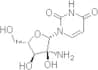2'-Amino-D-uridine