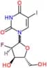2'-deoxy-2'-fluoro-5-iodouridine