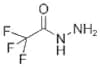 Trifluoroacetic acid hydrazide
