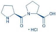 H-Pro-Pro-OH · HCl