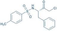 Tos-Phe-chloromethylketone