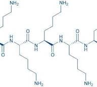 H-Lys-Lys-Lys-Lys-Lys-OH