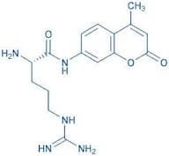 H-Arg-AMC