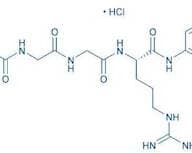 Z-Gly-Gly-Arg-AMC · HCl
