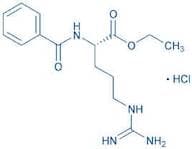 Bz-Arg-OEt · HCl