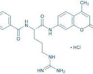 Bz-Arg-AMC · HCl