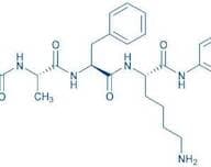 Suc-Ala-Phe-Lys-AMC