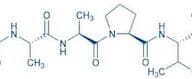 MeOSuc-Ala-Ala-Pro-Val-pNA