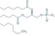 1,2-Dipalmitoyl-sn-glycero-3-phosphocholine