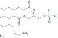 L-β-Oleoyl-γ-palmitoyl-α-lecithin