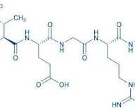 Boc-Ile-Glu-Gly-Arg-AMC
