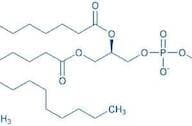 1,2-Distearoyl-sn-glycero-3-phosphocholine