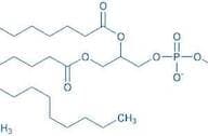 1,2-Distearoyl-rac-glycero-3-phosphocholine