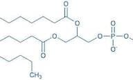 1,2-Dimyristoyl-rac-glycero-3-phosphocholine