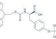 Fmoc-D-Tyr(tBu)-OH