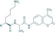 H-Lys-Ala-AMC