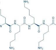 H-Lys-Lys-Lys-Lys-OH