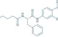 Glutaryl-Phe-AMC