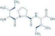 Diprotin A