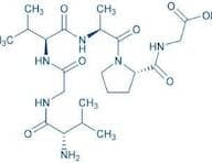 Chemotactic Domain of Elastin