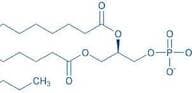 1,2-Dilauroyl-sn-glycero-3-phosphocholine