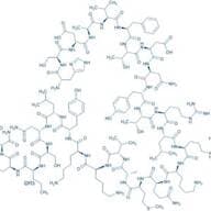 VIP (human, mouse, rat)