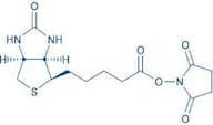 D-Biotinyl-OSu