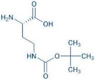 H-Dab(Boc)-OH