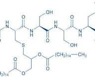 Mitogenic Pentapeptide