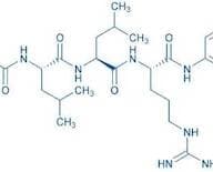 Z-Leu-Leu-Arg-AMC