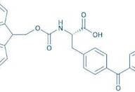Fmoc-p-Bz-Phe-OH