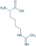 H-Lys(acetimidoyl)-OH