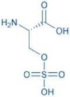 H-Ser(SO₃H)-OH