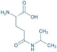 H-Gln(isopropyl)-OH