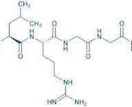 Z-Leu-Arg-Gly-Gly-AMC
