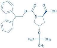 Fmoc-D-Hyp(tBu)-OH