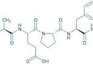 Suc-Ala-Glu-Pro-Phe-AMC