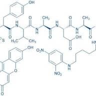 FITC-Tyr-Val-Ala-Asp-Ala-Pro-Lys(Dnp)-OH (Contains FITC isomer I)