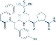 H-Trp-Phe-Tyr-Ser(PO₃H₂)-Pro-Arg-pNA