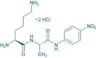 H-Lys-Ala-pNA · 2 HCl