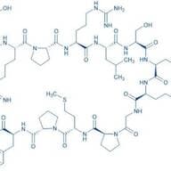 Apelin-13 (human, bovine, mouse, rat)