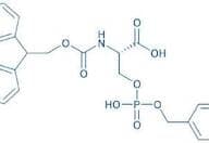 Fmoc-Ser(PO(OBzl)OH)-OH